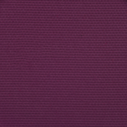 RIPE_CRANBERRY.png
