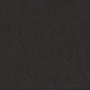 X Black color.jpg