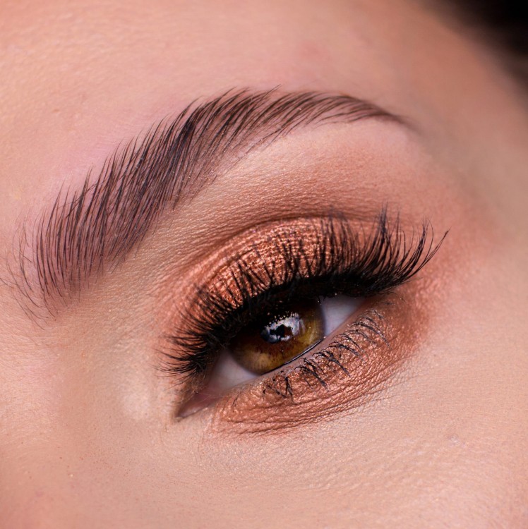 Y-0075 In the Spotlight.jpg