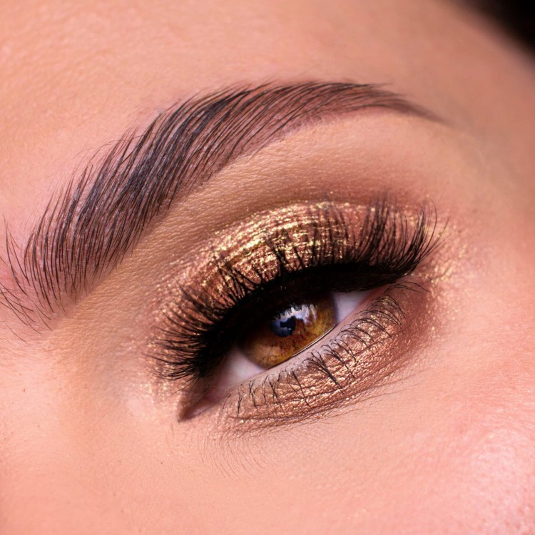 Y-0080 Butterfly.jpg